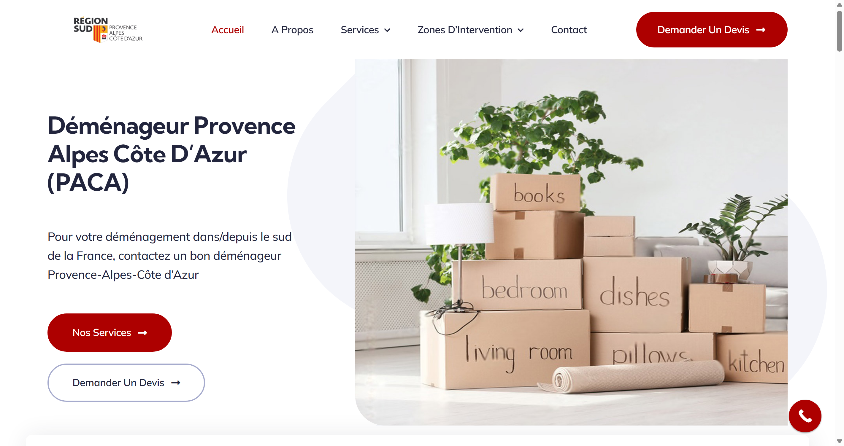 Paca Moving - site web